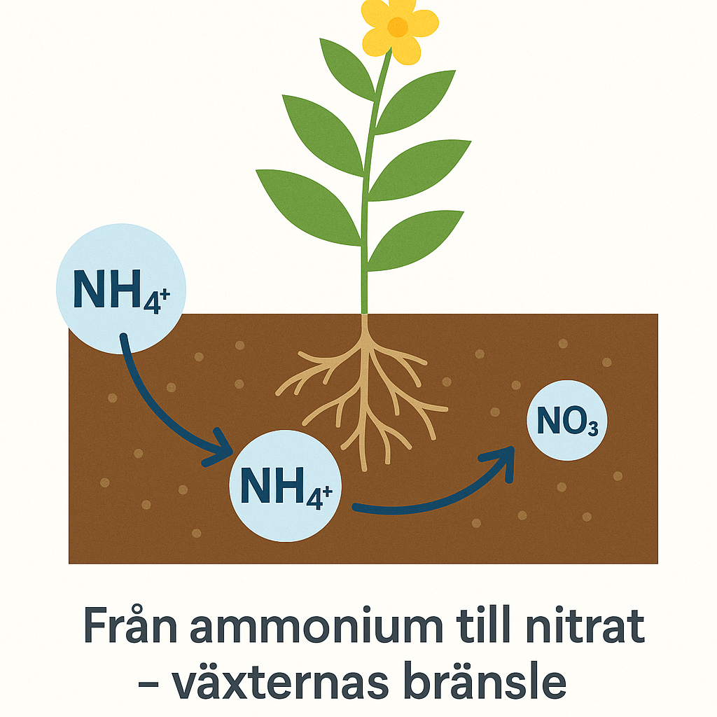 Ölandsbladet Arkiv